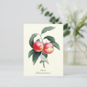 Elegante botanische  perzikvruchten briefkaart (Staand voorkant)