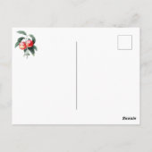 Elegante botanische  perzikvruchten briefkaart (Achterkant)