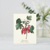 Elegante botanische  rode bessen fruit briefkaart (Staand voorkant)
