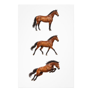 Elegante bruine paard muur kunst poster