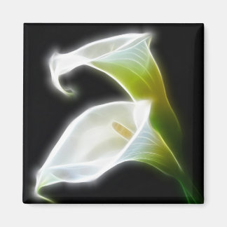 Elegante Calla Lily Bloemen 8 Modern Magneet