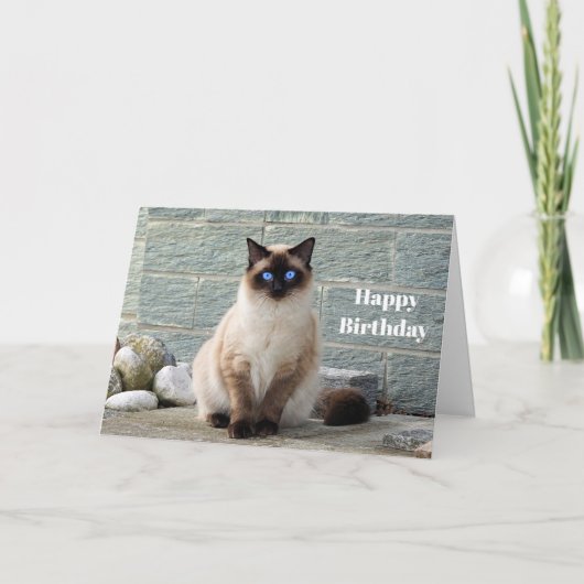 Elégante carte d'anniversaire de chat de Siamese (Devant)