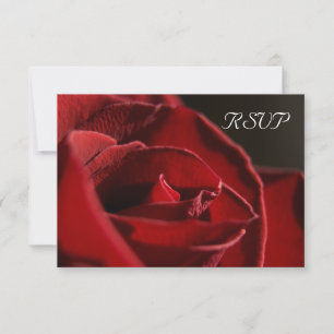 Élégante carte de réponse RSVP de mariage Red Rose