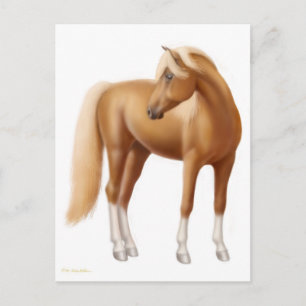 Elégante carte postale Sorrel Horse