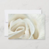 Elégante carte Rose mariage ivoire argent RSVP (Dos)