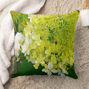 Elegante Chartreuse Groen Limelight Hortensia Kussen