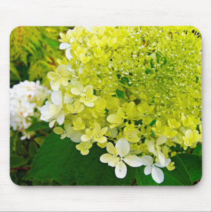 Elegante Chartreuse Groen Limelight Hortensia Muismat