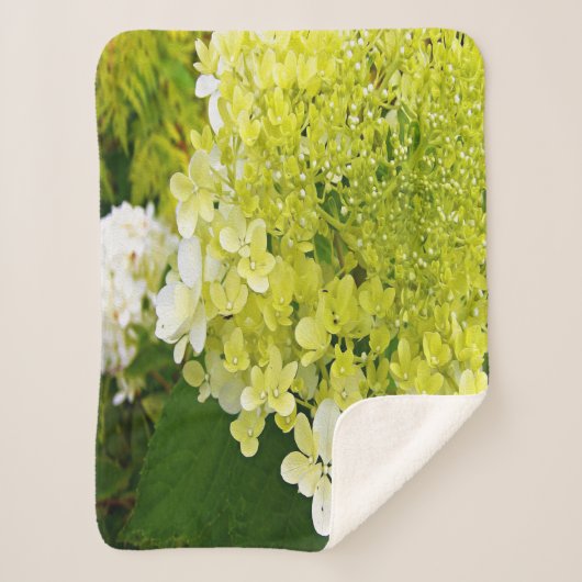 Elegante Chartreuse Groen Limelight Hortensia Sherpa Deken (Voorkant)