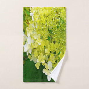 Élégante Chartreuse Vert Limelight Hydrangea
