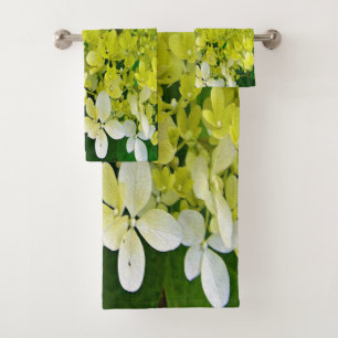 Élégante Chartreuse Vert Limelight Hydrangea