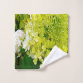 Élégante Chartreuse Vert Limelight Hydrangea (Gant de toilette)