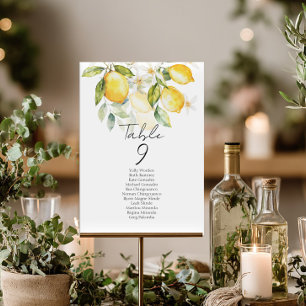 Elegante citrus tafelnummer zitplaats kaartjes