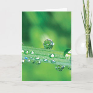 Elegante dauw drop note Kaart met gedicht