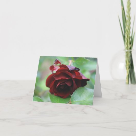 Elegante Deep Red Rose Note Kaart (Voorkant)