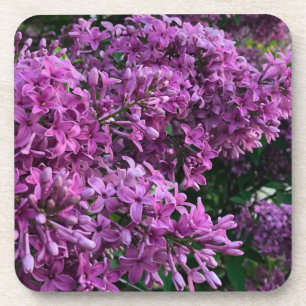Elegante diep paarse magenta bloemen lilacs bier onderzetter