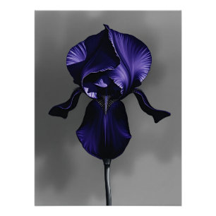 Elegante donkere iris met rokerig grijs perfect poster
