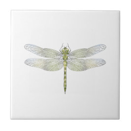 Elegante Dragonfly tekening Tegeltje