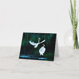 Elegante Egrets in Dance Kaart