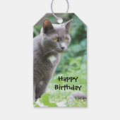 Élégante étiquette cadeau d'anniversaire de chat (Devant)