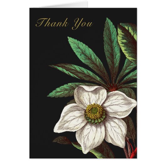 Élégante Fleur Rose de Noël Vintage (Devant)