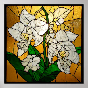 Elegante Gebrandschilderde Witte Orchideeën Poster