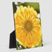 Elegante gele bloemen daisy fotoplaat (Zijkant)