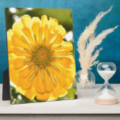 Elegante gele bloemen daisy fotoplaat (Zijkant)