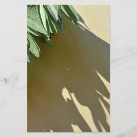 Elegante groene botanische bladeren Fresh-cut krui Briefpapier (Voorkant)