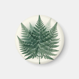 Elegante groene varenbladeren botanisch magneet