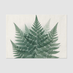Elegante groene varenbladeren botanisch tissuepapier