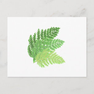 Elegante groene waterverf varens bos bladeren briefkaart