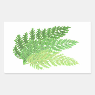 Elegante groene waterverf varens bos bladeren rechthoekige sticker
