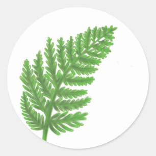 Elegante groene waterverf varens bos bladeren ronde sticker