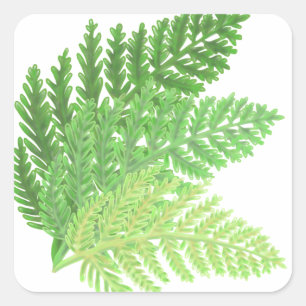 Elegante groene waterverf varens bos bladeren vierkante sticker