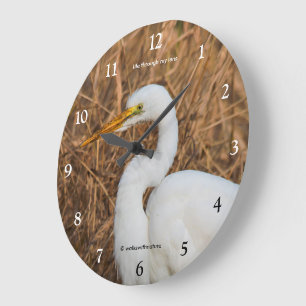 Elegante Grote Zilverreiger Watervogel in Riet Klok