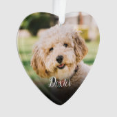 Elegante Herinnering aan Huisdier Verlies Kat Hond Ornament (voorkant)