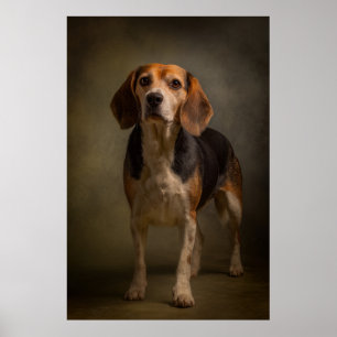 Elegante honden silhouet poster