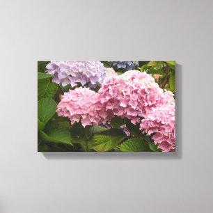 Elegante Hortensia Canvas Afdruk