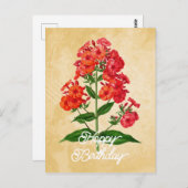 Elegante  Hybride Phlox Flower Happy Birthday Briefkaart (Voorkant / Achterkant)