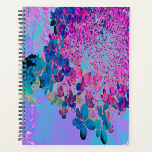 Élégante Hydrangea Limelight Bleu foncé et Magenta