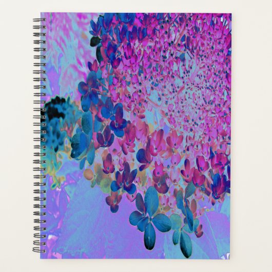 Élégante Hydrangea Limelight Bleu foncé et Magenta (Devant)