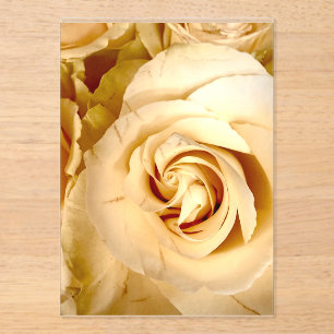 Élégante invitation en acrylique macro rose Champa