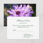 Élégante, jolie fleur marguerite violette été rsvp (Devant / Derrière)