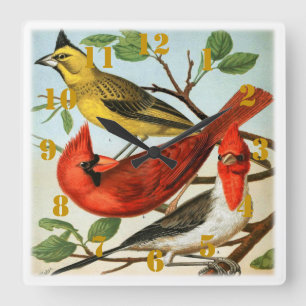 Elegante Kardinaalvogels Vierkante Klok