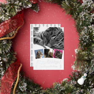 Elegante kattenfotocollage zilverfolie kerstkaart folie feestdagenkaart