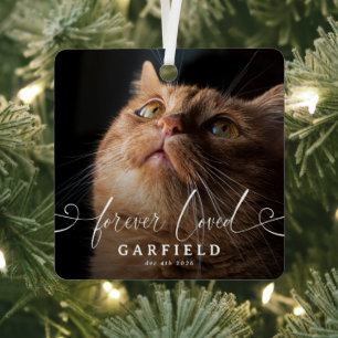 Elegante kerst-herinneringsfoto van huisdierkat metalen ornament