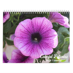 Elegante Kleurrijke Petunias Botanische Kalender