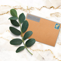 Elegante Kleurrijke Rand Aangepast Grijs Retouradr