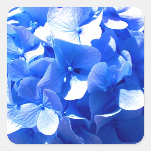 Elegante Kobalt blauwe bloemen elegante hortensia' Vierkante Sticker (Voorkant)