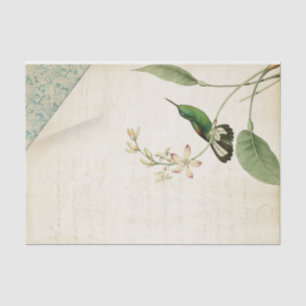Elegante kolibrie Ephemera Tissuepapier
